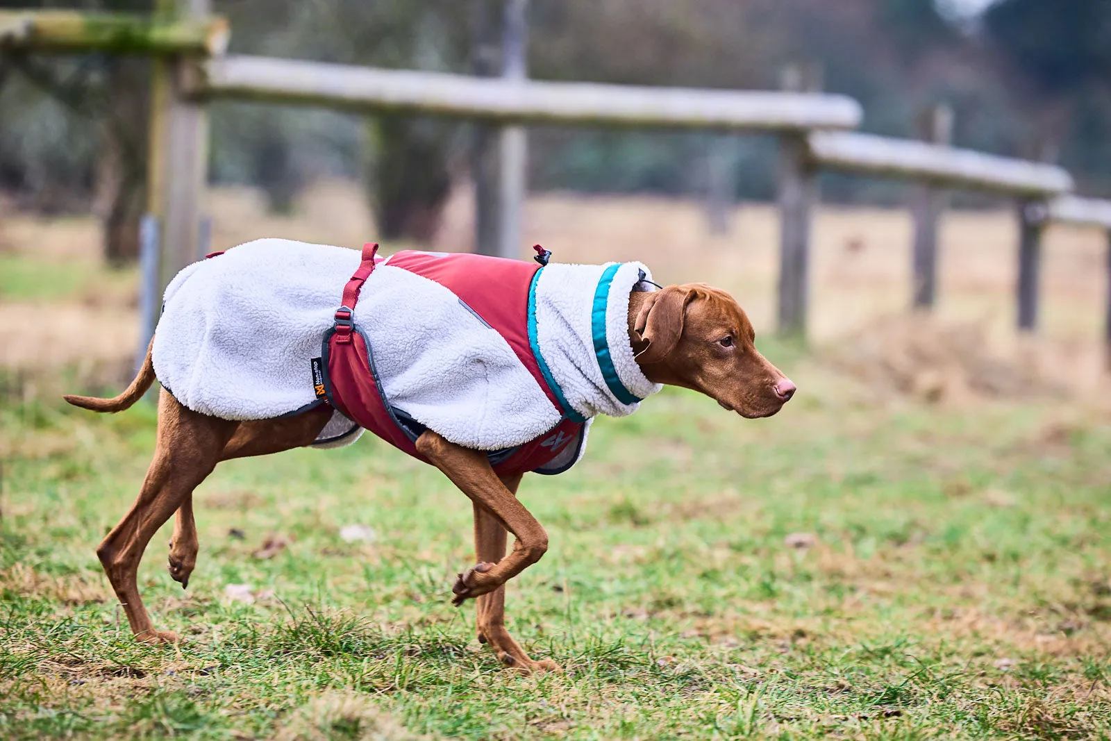 Non-stop - Trekking Fleece Dog Jacket